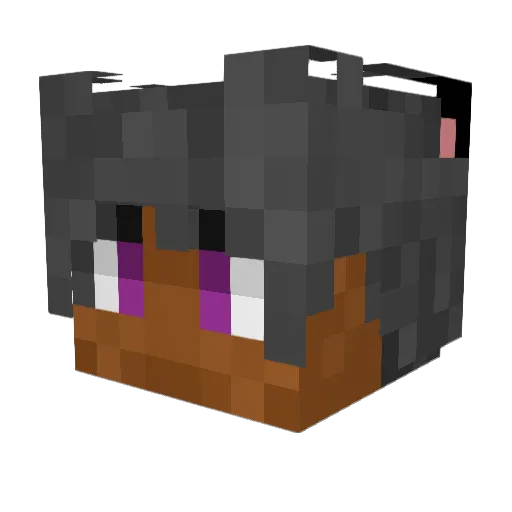 caspicats Minecraft avatar head, 3D render