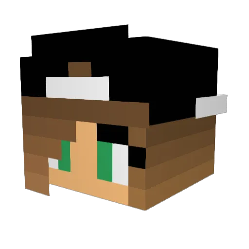 cass626 Minecraft avatar head, 3D render