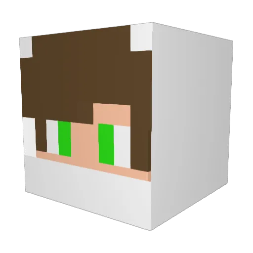 cassanubs Minecraft avatar head, 3D render