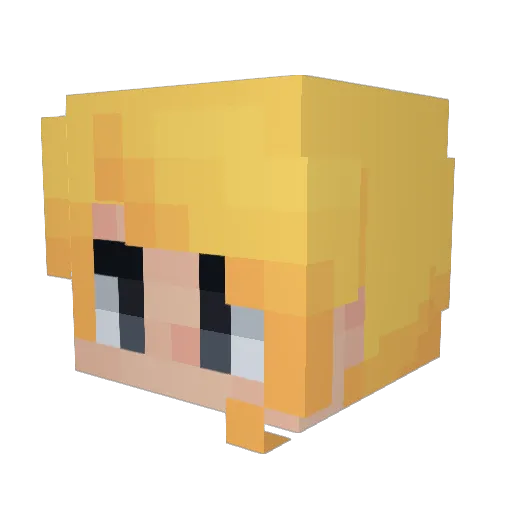 cassassinated Minecraft avatar head, 3D render