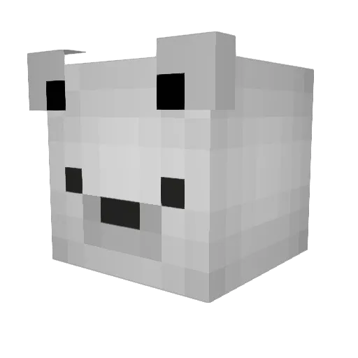 cassettecorder Minecraft avatar head, 3D render