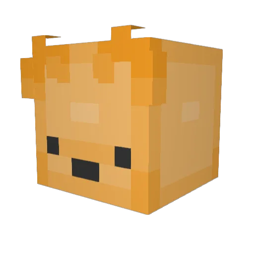 cassewole Minecraft avatar head, 3D render