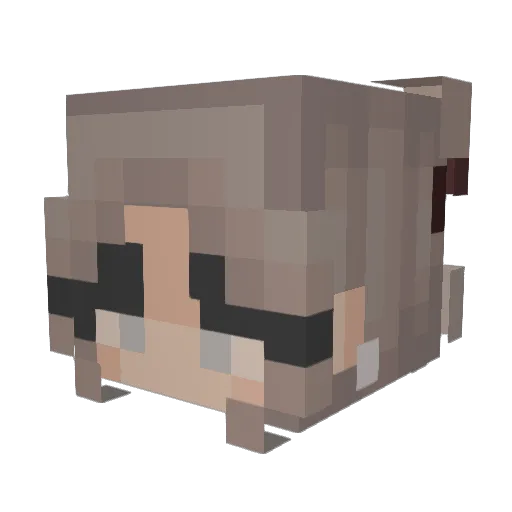 casseya Minecraft avatar head, 3D render