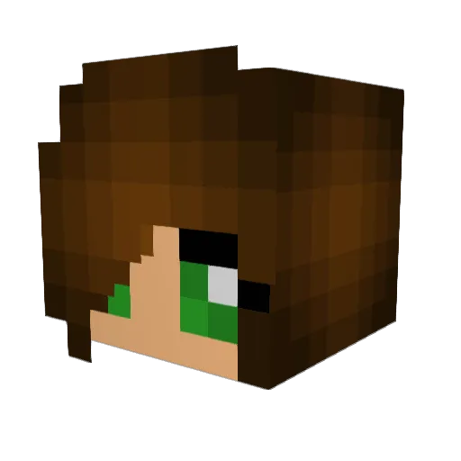 cassidy0906 Minecraft avatar head, 3D render
