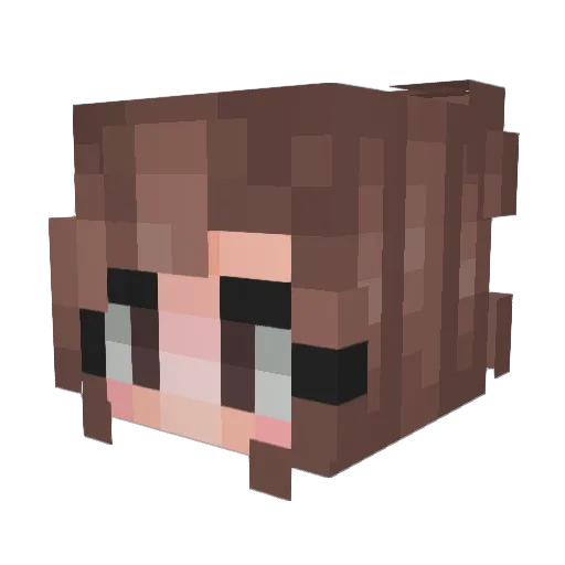 cassidy_lee14 Minecraft avatar head, 3D render