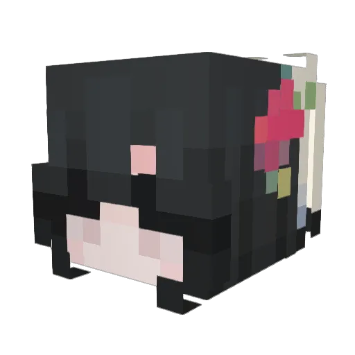 cassidyll Minecraft avatar head, 3D render