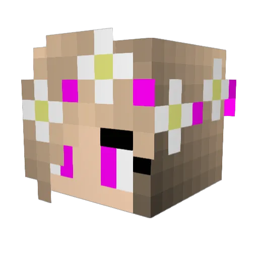 cassidywright Minecraft avatar head, 3D render