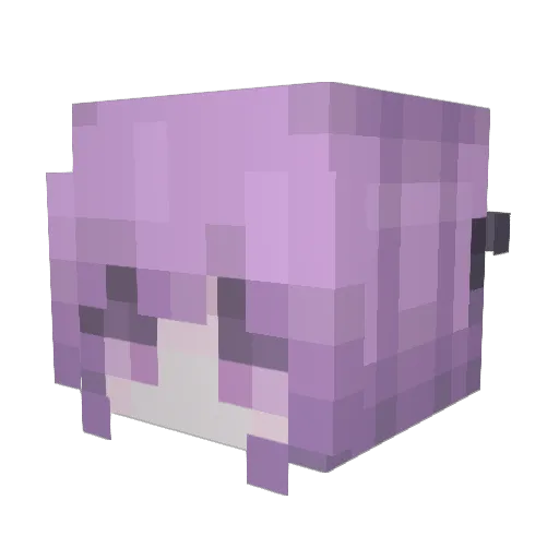 cassie2456 Minecraft avatar head, 3D render