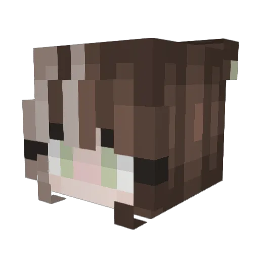 cassie_4 Minecraft avatar head, 3D render