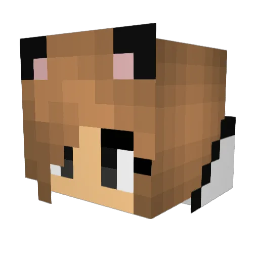 cassiecatherine Minecraft avatar head, 3D render