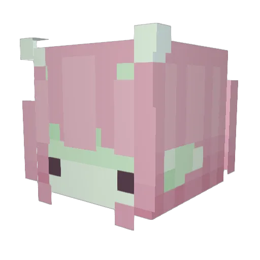 cassiedeee Minecraft avatar head, 3D render