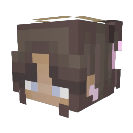 cassiemay2020 Minecraft avatar head, 3D render