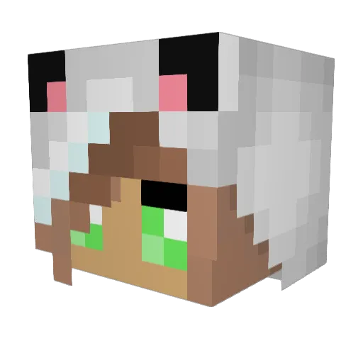 cassieqt Minecraft avatar head, 3D render