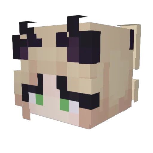 cassiomaria Minecraft avatar head, 3D render