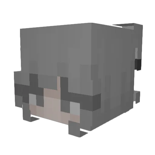 cassiopeia420 Minecraft avatar head, 3D render