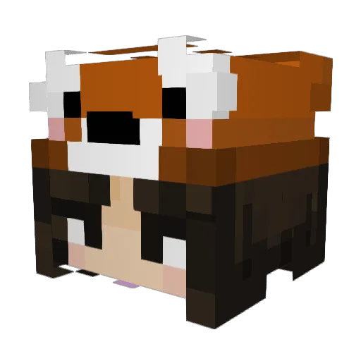 cassluvsyou Minecraft avatar head, 3D render