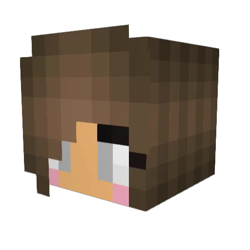casstrigger07 Minecraft avatar head, 3D render