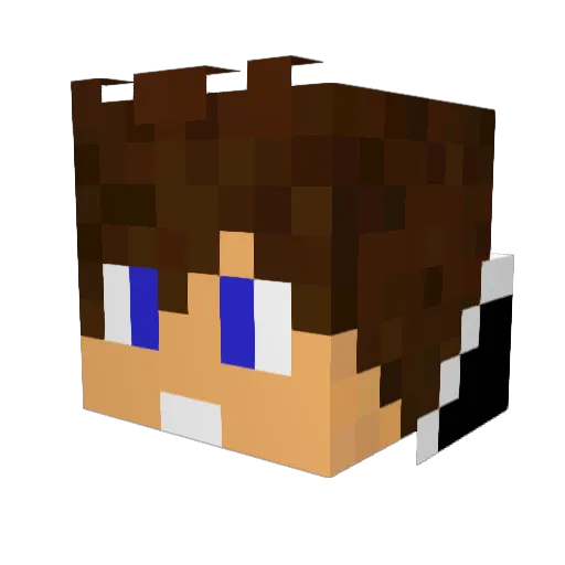 castanhokai Minecraft avatar head, 3D render
