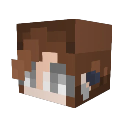 castic_wildren Minecraft avatar head, 3D render