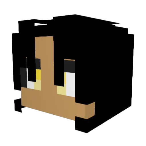castlehwan Minecraft avatar head, 3D render