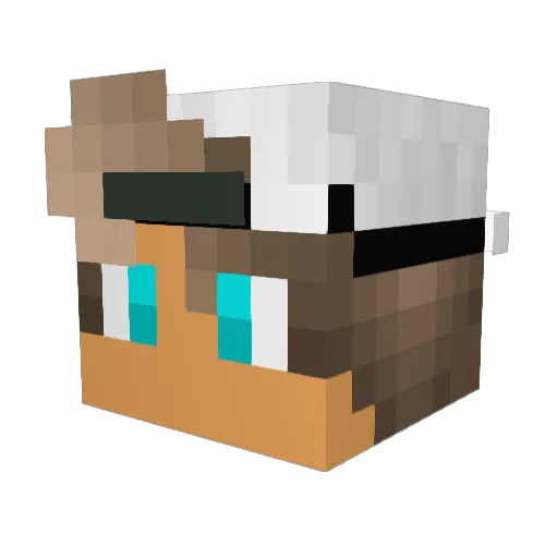 castorjunior6 Minecraft avatar head, 3D render