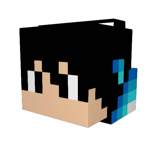 castries Minecraft avatar head, 3D render