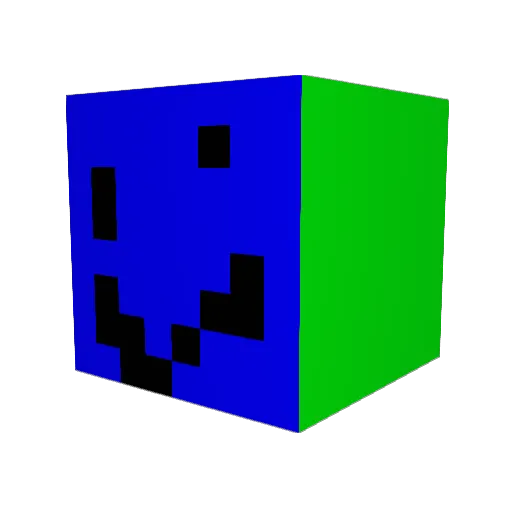 casualcat56 Minecraft avatar head, 3D render