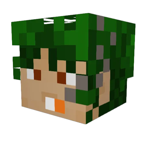 casuallyshieldy Minecraft avatar head, 3D render