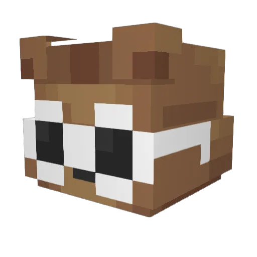 caswel Minecraft avatar head, 3D render