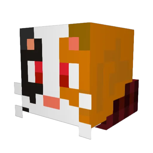 cat0987 Minecraft avatar head, 3D render