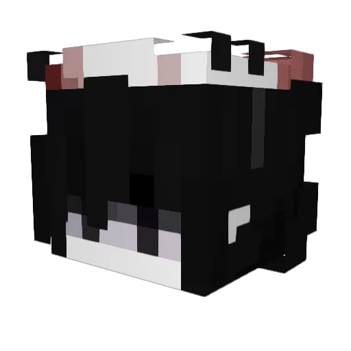 cat1312 Minecraft avatar head, 3D render
