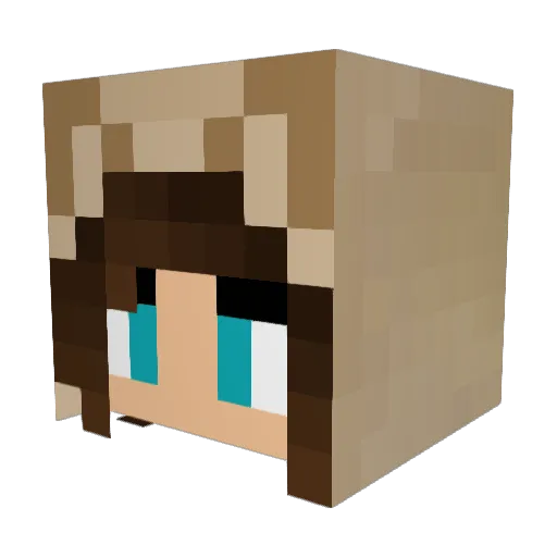 cat1builder Minecraft avatar head, 3D render