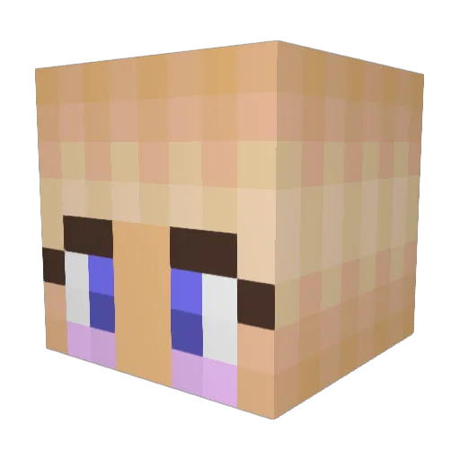 cat1o7er Minecraft avatar head, 3D render