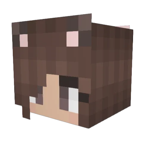 cat321O Minecraft avatar head, 3D render