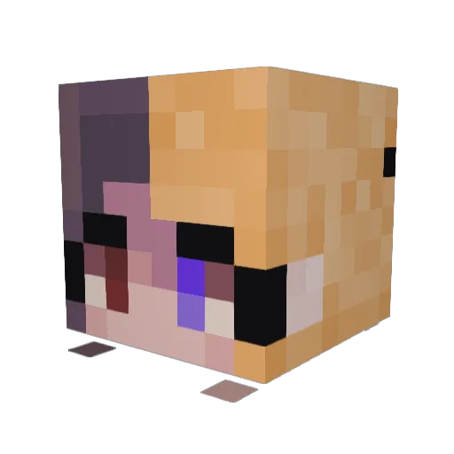 cat49938 Minecraft avatar head, 3D render