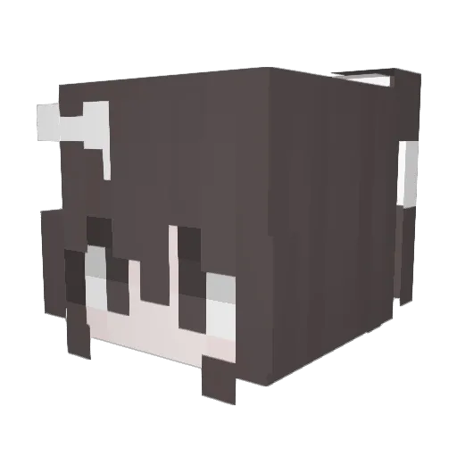 cat49 Minecraft avatar head, 3D render