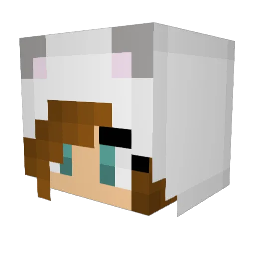 cat88106 Minecraft avatar head, 3D render