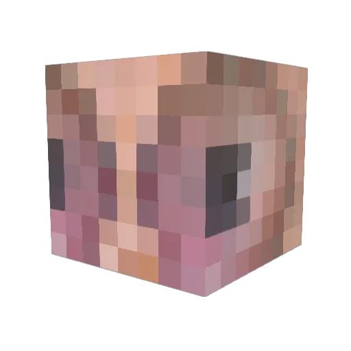catIord Minecraft avatar head, 3D render