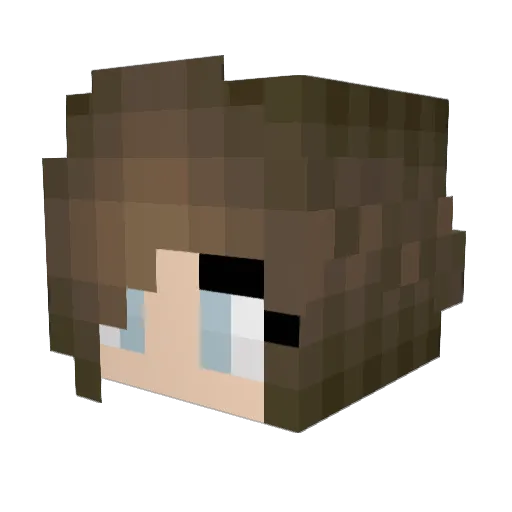 cat_LOX Minecraft avatar head, 3D render