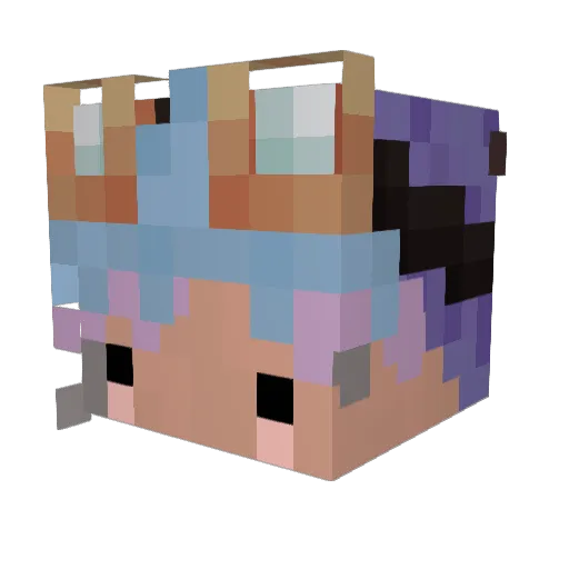 cat__toes Minecraft avatar head, 3D render