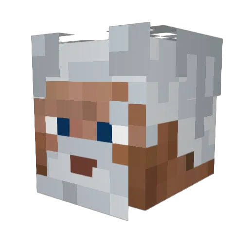 cat_granni54 Minecraft avatar head, 3D render