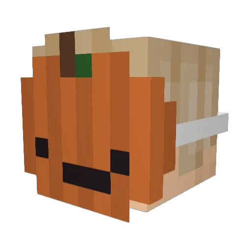cat_guyyy Minecraft avatar head, 3D render