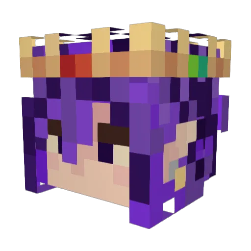 cat_pug Minecraft avatar head, 3D render