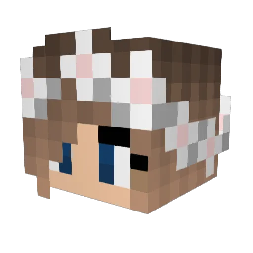 cat_r_ina Minecraft avatar head, 3D render