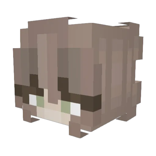 catallergic Minecraft avatar head, 3D render