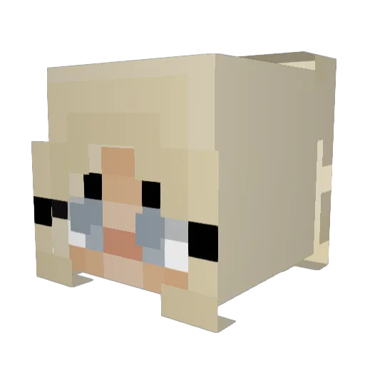 catanass Minecraft avatar head, 3D render