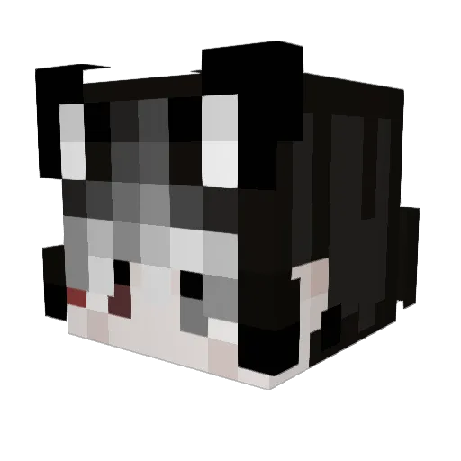 catapillis Minecraft avatar head, 3D render