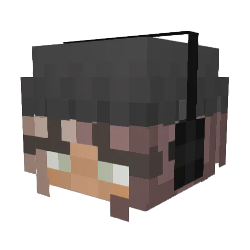 catarata Minecraft avatar head, 3D render