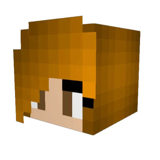 catastrophic123 Minecraft avatar head, 3D render
