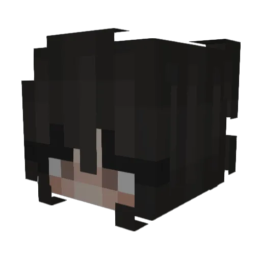 catatass Minecraft avatar head, 3D render